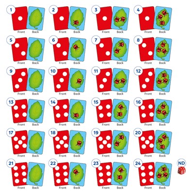 The Game of Ladybirds (Older Version) Misplaced Pieces